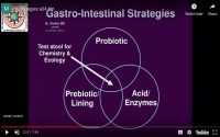 When and how do we test the Gastro-Instestinal (GI) Tract? How do we treat based on symptoms, history, and lab tests?