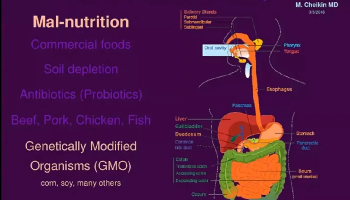 malnutrition-vs-malabsorption-video