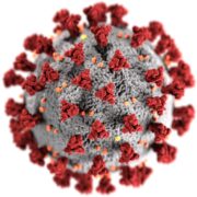 coronavirus-b-1